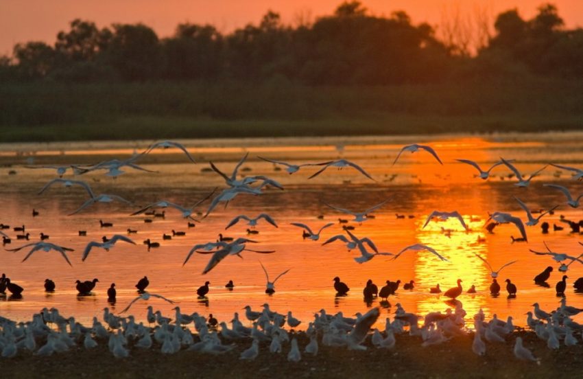 Danube Delta in Romania