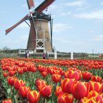 10 places to visit in The Netherlands