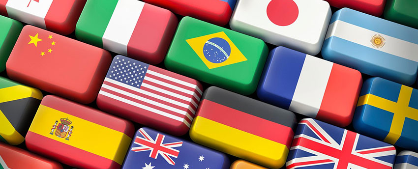 Professional translation services