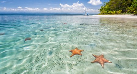 Travel to Starfish Beach Isla Colon Bocas del Toro