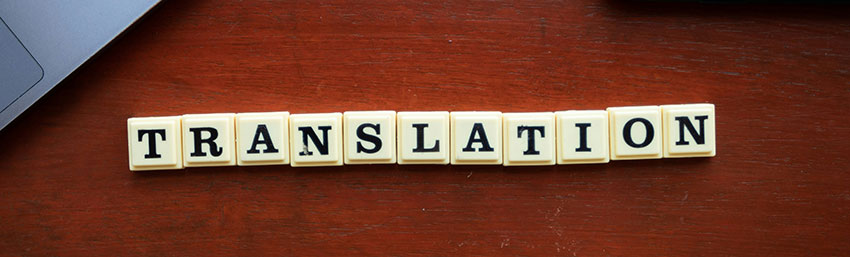 Professional translation services