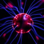 The brain has an amazing unexplored ability: plasticity